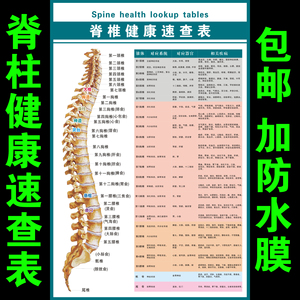 脊椎健康速查表人体脊柱相纸疾病示意图中医养生医学健康挂图海报