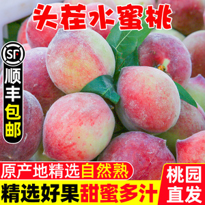 现摘水蜜桃新鲜桃子脆桃毛桃时令水果新鲜当季大果10斤血黄油红桃