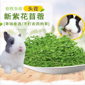 2023新烘干苜蓿草兔粮龙猫豚鼠干草兔子荷兰猪牧草毛重1kg箱