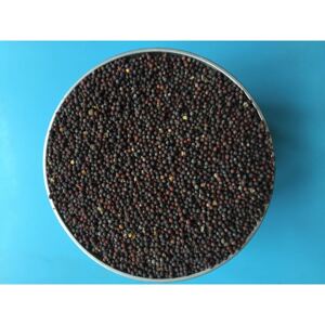 鸡毛菜种子四季小白菜子高梗白生长快速小油菜蔬菜籽阳台播种青菜