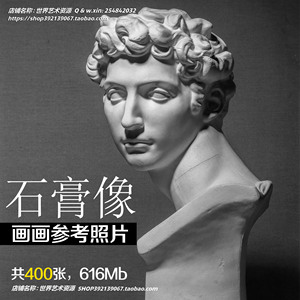 907人付款淘宝石膏像照片五官面部雕塑大卫海盗马赛美第奇塔头像素描