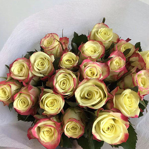 云南昆明林奇方德爱丽森经典阔边帽10支装单头玫瑰家用水养