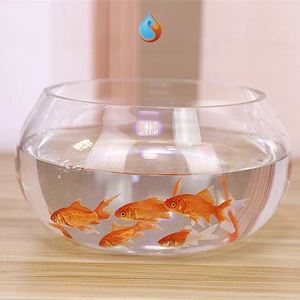 乌龟缸防逃逸养鱼用品用具小型家用中小型透明圆球缸观赏缸碗莲厸