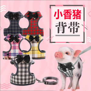 小香猪牵引绳宠物猪专用衣服溜猪绳子牵绳泰国遛小香猪衣服的用品