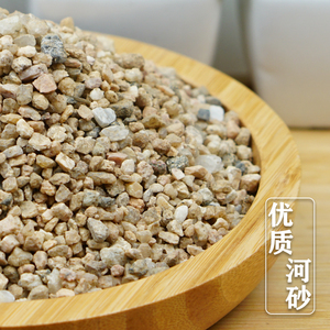 天然粗细河砂种植养花用拌土天然黄沙多肉铺面鱼缸底砂石子