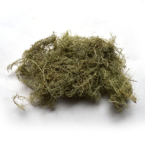 苍山灵芝堂云南纯野生松萝老君须云雾草中药材干货500g包邮