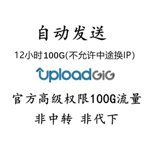 【自动发货】uploadgig.com 12小时 100G 会员权限流量 非中转