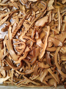 云南昆明海鲜冻品竹笋黑笋烟笋泡水笋烟熏笋500克