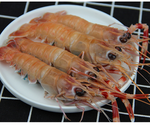 大号海龙虾新鲜海鳌虾刺身5斤深海小龙虾铁甲虾野生海捕活冻龙虾