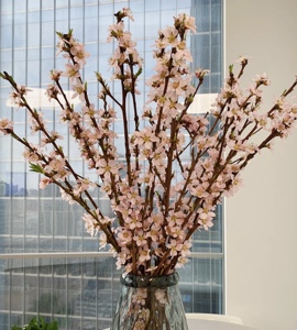 新森林桃花珍珠李鲜切花招桃花运镇宅镇风水桃运满满桃气多多顺丰