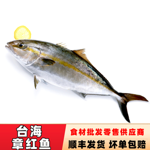 台海鲜活章红鱼红甘鱼大海鱼新鲜海鱼鰤鱼特级刺身1斤68