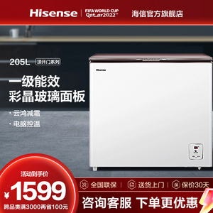 海信205升家用保鲜冰柜小型立式节能美观冷冻冷柜冰箱205zngut