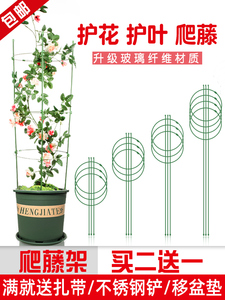 爬藤架子花支架月季花架植物盆室内花卉支撑杆园艺铁线莲攀爬架杆