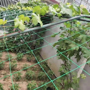 964人付款淘宝豆角爬藤网丝瓜葡萄架黄瓜苦瓜豇豆种植网藤类植物攀爬