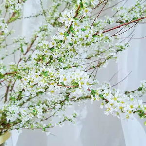 雪柳鲜干支枝盆栽喷雪柳花水培植物花卉室内插水开花北欧绿植龙柳