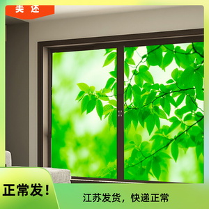 窗户玻璃贴膜绿