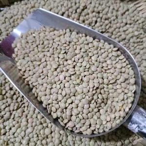 金豌豆 云南昭通凉粉原料小豌豆 鸡豆小扁豆农家自种一公斤装包邮