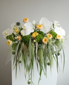 昆明鲜花讲台花创意讲台花蝴蝶兰百合玫瑰向日葵玫瑰康乃馨