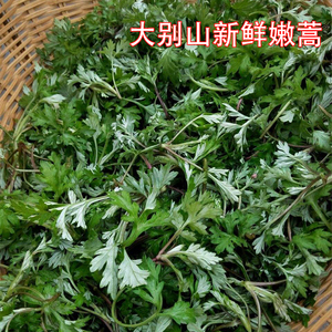 安徽大别山野生天然新鲜蒿子菜蒿子粑粑饼青团蒿菜社饭现采1000g