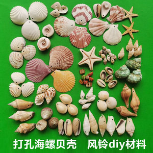 天然海螺贝壳打孔幼儿园手工制作diy风铃配饰材料有孔彩色贝壳小