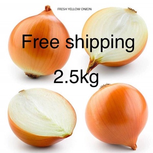 promotion新鲜黄洋葱fresh yellow onion salad vegetable 2.5kg