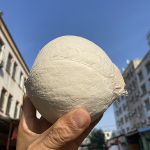 海南文昌椰白10个装 嫩椰皇 小奶椰 剥皮椰子椰青 新鲜带皮椰子