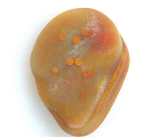 南京雨花石珠子石