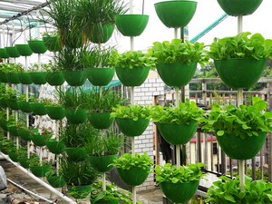 辉映凡心淘宝阳台种菜神器組合式无土栽培设备有机蔬菜种植箱立体