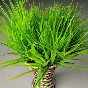 52zq张123淘宝兰花专用土墨兰土兰花草盆栽盆景营养土种花土壤养花