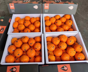 南非柑橘10斤礼盒新鲜水果孕妇小孩应当季皮薄多汁蜜橘子顺丰包邮
