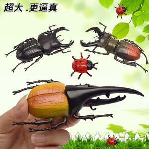 大号昆虫玩具模型仿真甲虫天牛套装甲壳虫独角仙吓人整蛊玩具爬虫