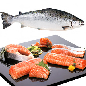 挪威进口冰鲜三文鱼整条10-12斤 新鲜大西洋鲑鱼刺身中段即食海鲜