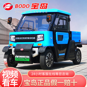 宝岛新能源成人二封闭油电两用家用代步四轮电瓶载货皮卡电动汽车