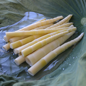 新鲜清水小竹笋尖2袋装2斤应季蔬菜礼品细笋尖山林野生江西特产