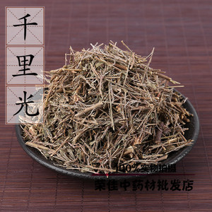 一扫光药材