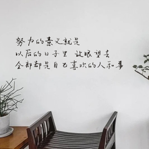 创意ins励志句子努力的意义 手写文艺宿舍卧室书房客厅装饰墙贴纸