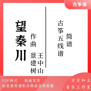 望秦川古筝王中山图片
