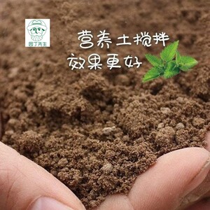 桂花月季用黄土普通泥土种植土盆栽纯天然田园土有机通用土壤种花