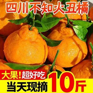正宗新鲜四川丑橘10斤整箱不知火当应季时令水果桔子蜜橘子柑橘