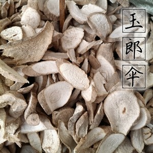 玉郎伞 粉大罗伞广西玉林市中药材店铺野生新鲜干货500g 1件包邮