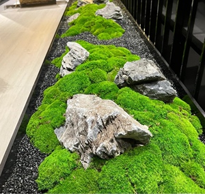 永生白发苔藓室内枯山石头青苔干景地面自然景观布置桌面装饰微景