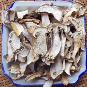 大脚菇野生菌干的 白牛肝菌 美味牛肝菌 东北大腿蘑菇 纯野生蘑菇