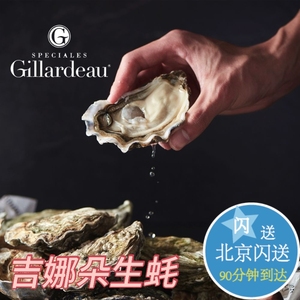法国进口吉娜朵生蚝 非吉拉多 G 水产 海鲜 鲜活牡蛎 3只起拍