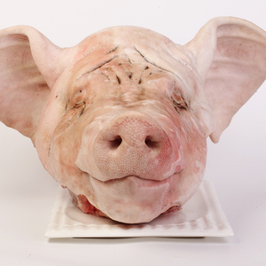 野蛮香 黑猪生猪全头肉带骨猪头 散养黑猪头办事用奠基祭祀