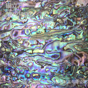 鲍鱼贝壳纸淡水贝薄片蓝绿纹工艺品镙钿漆画镶嵌优质创意装饰材料