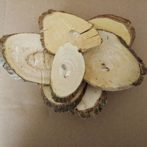 鹰不泊500克中草药材 鸟不企片 鹰不宿 乌鸦不企 鸟不落 新鲜晒干