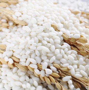 5斤东北五常圆糯米新米批发特价包粽子糯米大糯米圆粒江米5斤