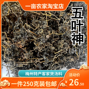 五叶神草梅州