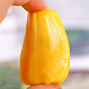 海南菠萝蜜整箱10-30斤一整个新鲜当季水果特产黄肉波罗蜜包邮红