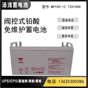 汤浅蓄电池12V100AH铅酸免维护NP100-12直流屏通信电源EPSUPS专用